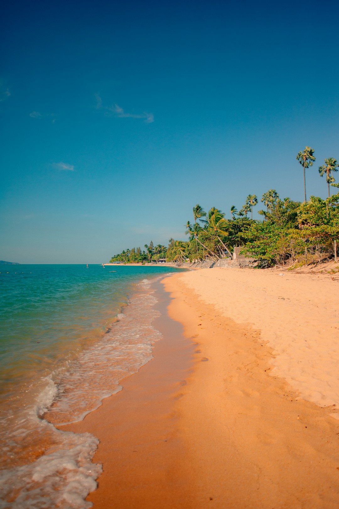 Escape the Office: How to Design a Remote Work Lifestyle That Fuels Your Wanderlust