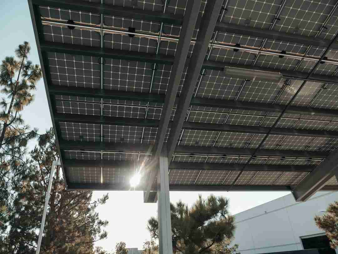 How a Solar-Powered Van Transformed Their Nomadic Journey
