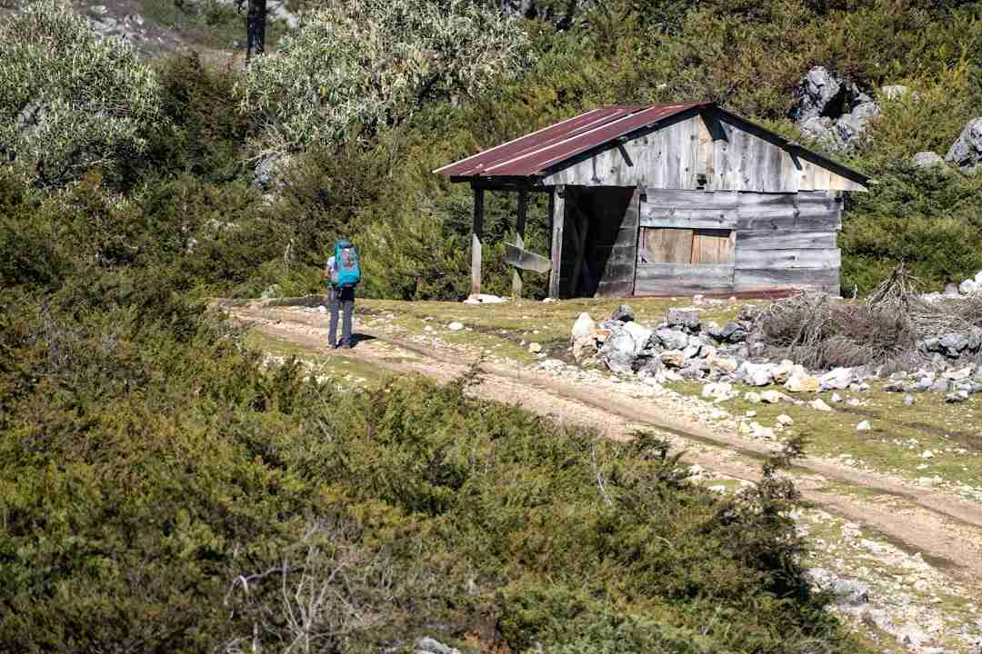 Building a Thriving Career From a Mountaintop Cabin