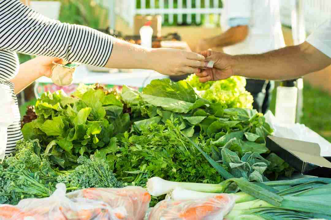 Navigating Grocery Shopping Chaos in Your New Country