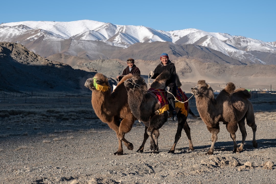 From Dreams to Dollars: Real Stories of Digital Nomads Thriving Worldwide