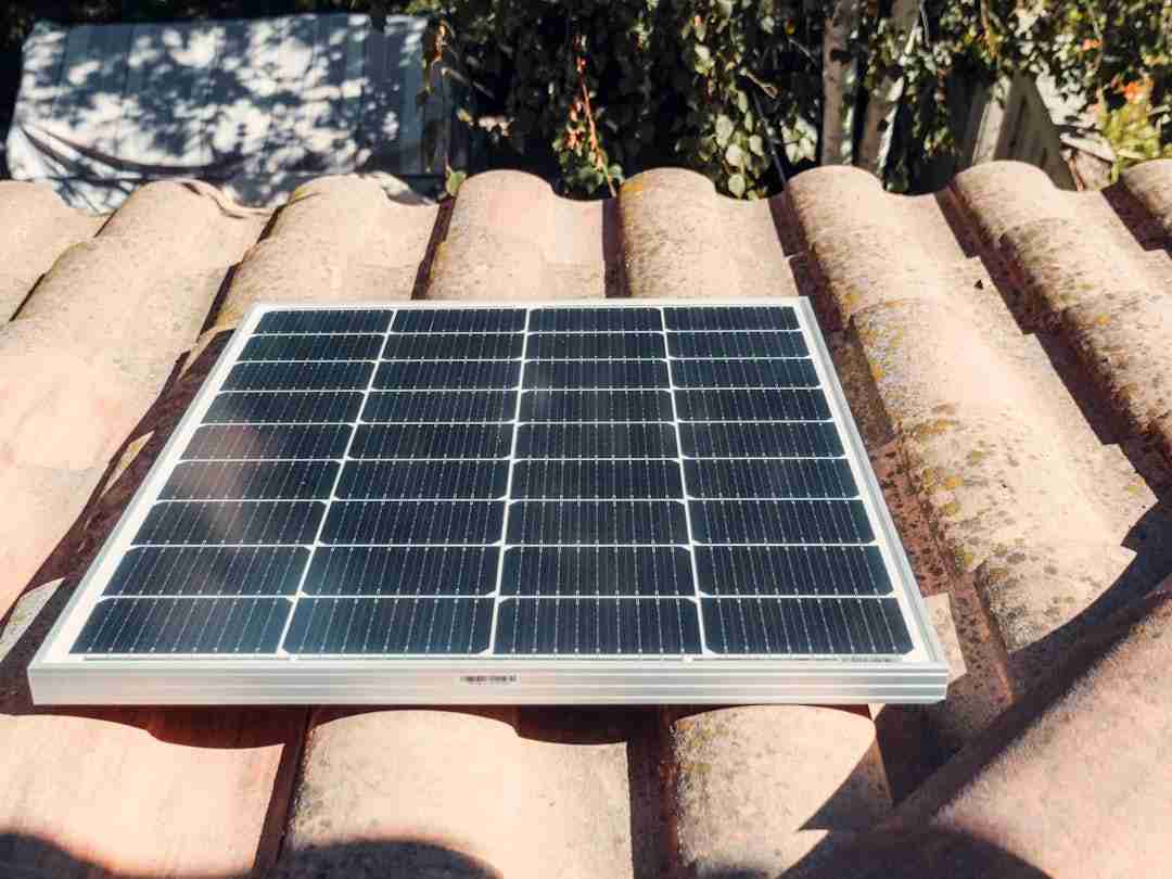 Building an Eco-Friendly Mobile Workspace: A Nomad’s Journey