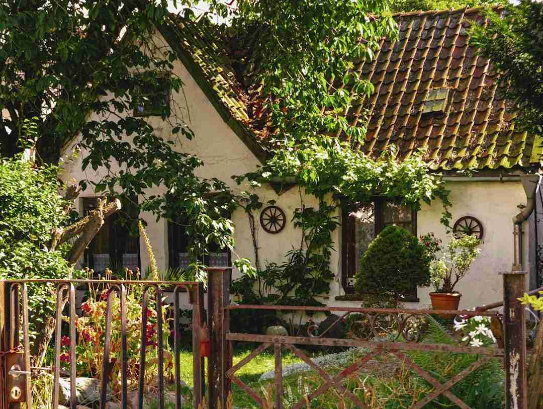 From Couch to Cash: Earning a Living While House Sitting