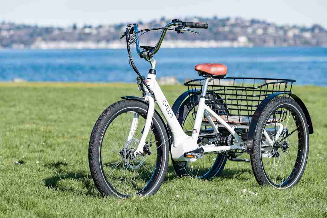Swapping Backpacking for Bicycles: Pedal-Powered Adventures on the Open Road