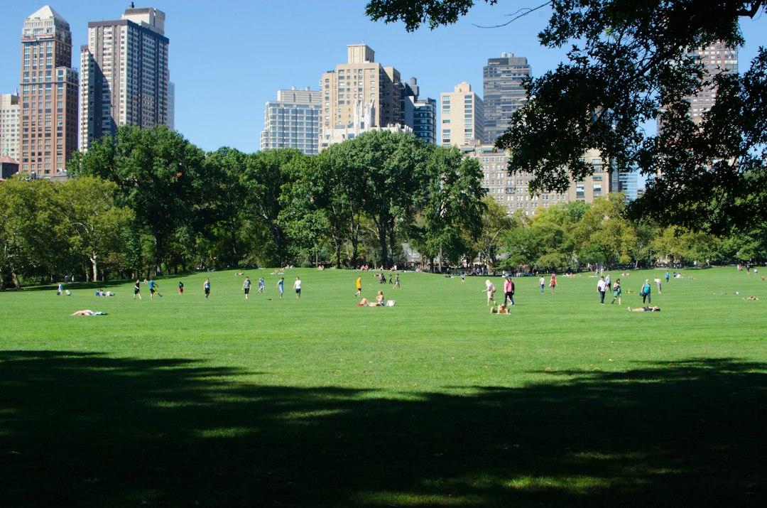 People relaxing and walking on a large green lawn in Central Park New York