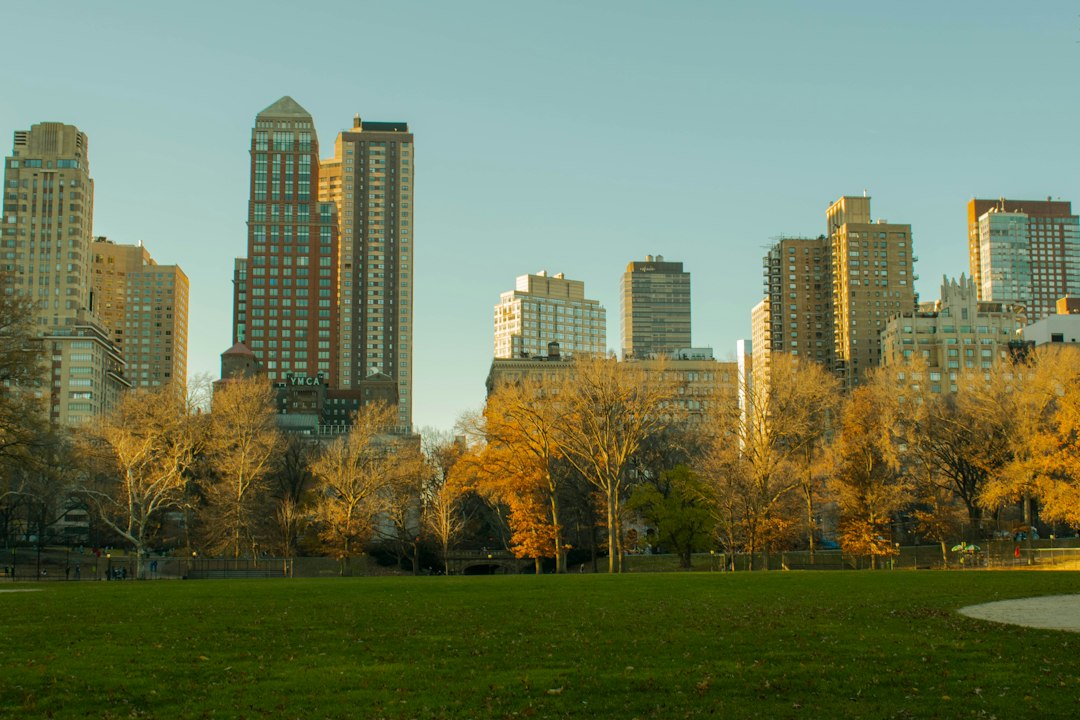 a park with trees and buildings in the background
